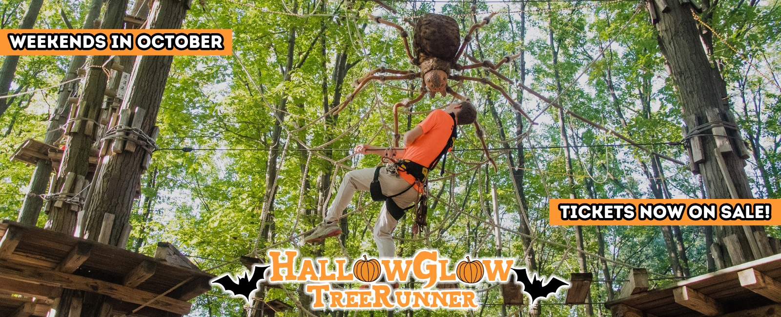 Website Banners (41)