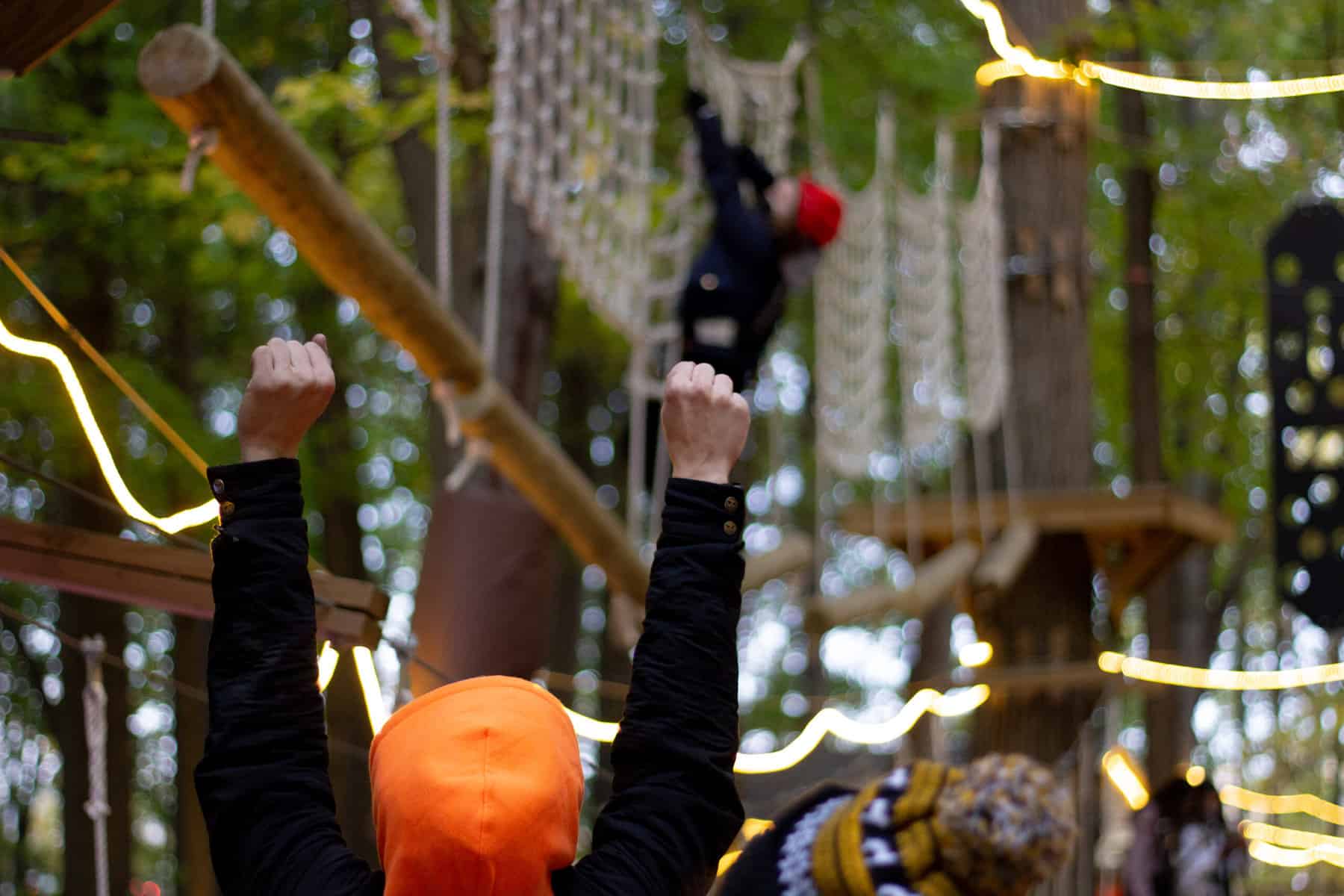 Treerunner Adventure Park West Bloomfield